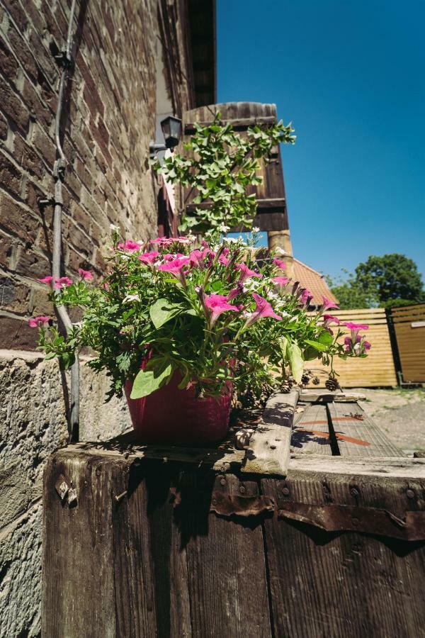 Ferienwohnungen An Der Wassermuehle Quedlinburg Exterior photo